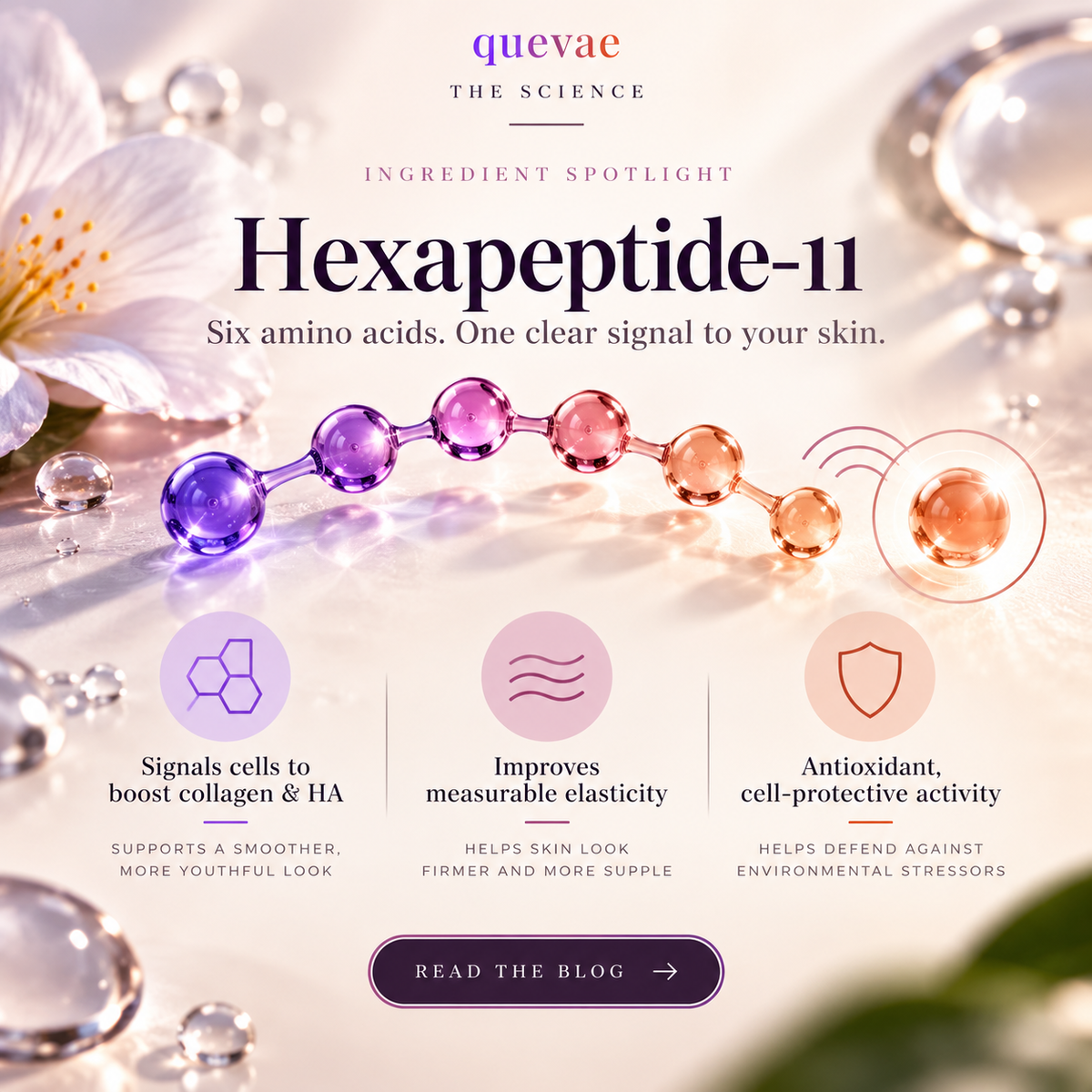 Small Peptide. Big Signal. Meet Hexapeptide-11.