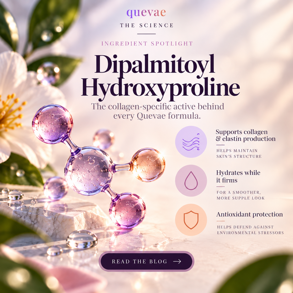 The Active Ingredient We Don't Talk About Enough: Dipalmitoyl Hydroxyprolin
